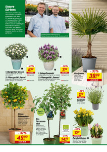 toom Baumarkt Prospekt - Gartenwelt Angebote ab 16.03.