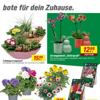 toom Baumarkt Prospekt - Blumen