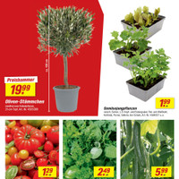 toom Baumarkt Prospekt Seite 2