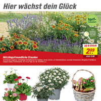 toom Baumarkt Prospekt Seite 3