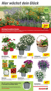 toom Baumarkt Prospekt - Angebote ab 21.03.