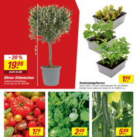 toom Baumarkt Prospekt Seite 2