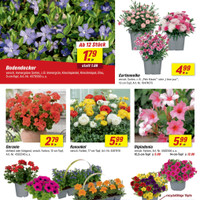 toom Baumarkt Prospekt Seite 2