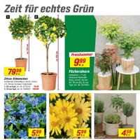 toom Baumarkt Prospekt Seite 3