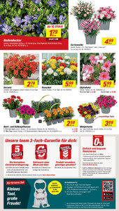 toom Baumarkt Prospekt - Angebote ab 28.03. - Seite 2