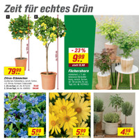 toom Baumarkt Prospekt Seite 3