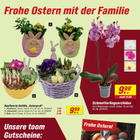 toom Baumarkt Prospekt Seite 3