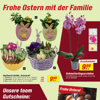 toom Baumarkt Prospekt Seite 3