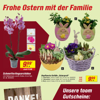 toom Baumarkt Prospekt Seite 4