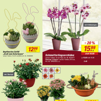 toom Baumarkt Prospekt Seite 5