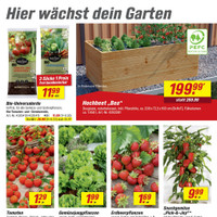 toom Baumarkt Prospekt Seite 13