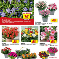 toom Baumarkt Prospekt Seite 2