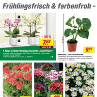 toom Baumarkt Prospekt Seite 14