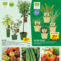 toom Baumarkt Prospekt Seite 3