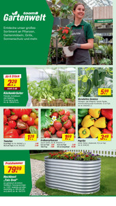 toom Baumarkt Prospekt - Angebote ab 11.04. - Seite 2