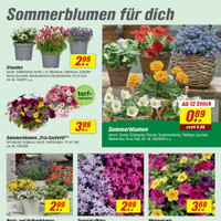 toom Baumarkt Prospekt Seite 3