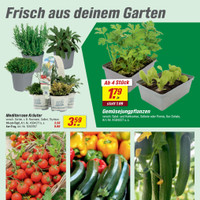 toom Baumarkt Prospekt Seite 3