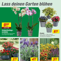 toom Baumarkt Prospekt Seite 6