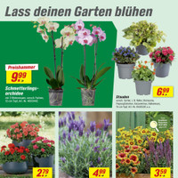 toom Baumarkt Prospekt Seite 6