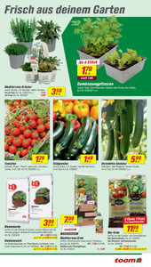 toom Baumarkt Prospekt - Angebote ab 18.04.