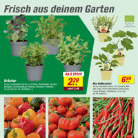 toom Baumarkt Prospekt Seite 4