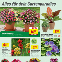 toom Baumarkt Prospekt Seite 4