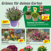 toom Baumarkt Prospekt Seite 3