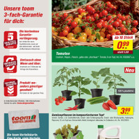 toom Baumarkt Prospekt Seite 2