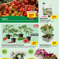 toom Baumarkt Prospekt Seite 2