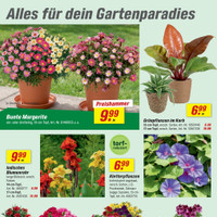 toom Baumarkt Prospekt Seite 4