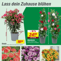 toom Baumarkt Prospekt Seite 7