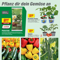 toom Baumarkt Prospekt - Obst & Gemüse