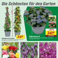 toom Baumarkt Prospekt Seite 11
