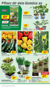 toom Baumarkt Prospekt - Angebote ab 02.05.