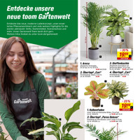 toom Baumarkt Prospekt Seite 2