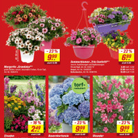 toom Baumarkt Prospekt Seite 3