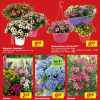 toom Baumarkt Prospekt Seite 3