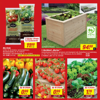 toom Baumarkt Prospekt - Obst & Gemüse