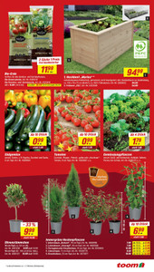 toom Baumarkt Prospekt - Angebote ab 09.05.