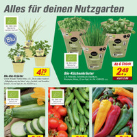 toom Baumarkt Prospekt - Obst & Gemüse