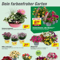 toom Baumarkt Prospekt Seite 3