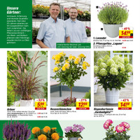toom Baumarkt Prospekt Seite 19