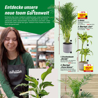toom Baumarkt Prospekt Seite 17