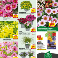 toom Baumarkt Prospekt Seite 20
