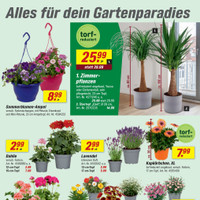 toom Baumarkt Prospekt - Blumen