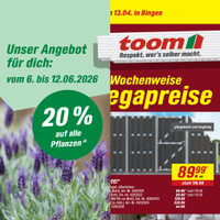 toom Baumarkt Prospekt Seite 3