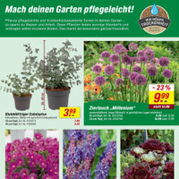 toom Baumarkt Prospekt Seite 7