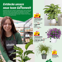 toom Baumarkt Prospekt Seite 14