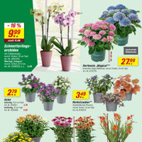 toom Baumarkt Prospekt Seite 2