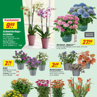 toom Baumarkt Prospekt Seite 2